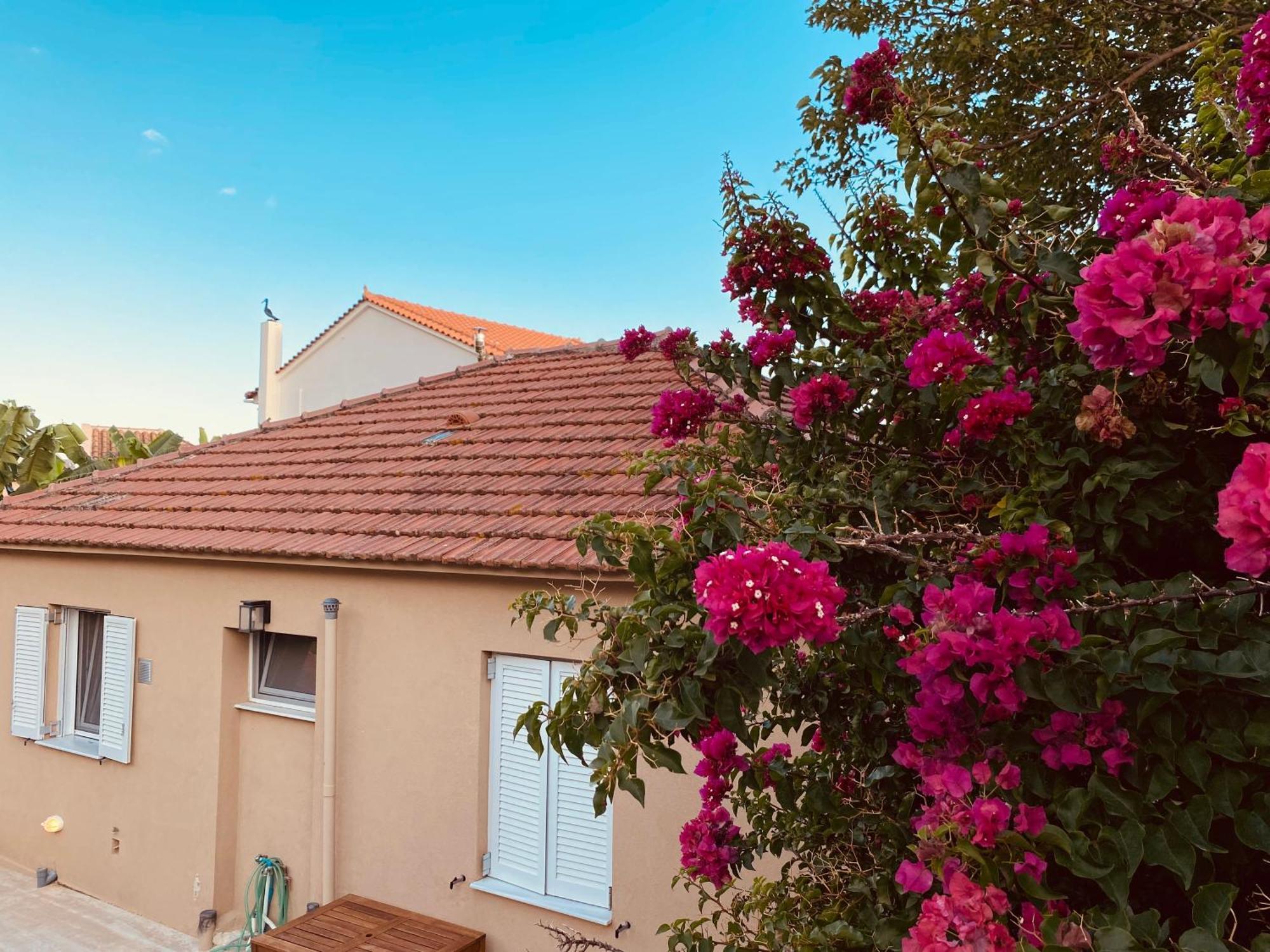 Katoικια Villa Lourdata  Exterior photo